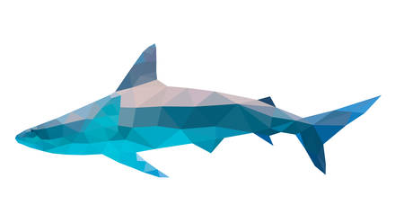 polygonal geometric low poly vector shark vector illustrationのイラスト素材
