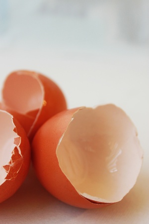 Isolated eggshells