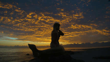 The mermaidの写真素材