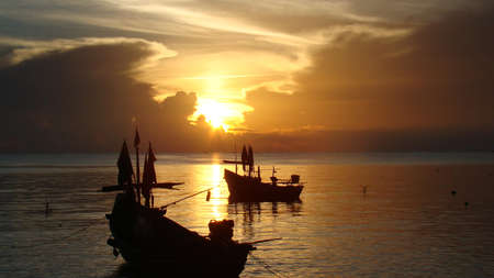  morning and sunの写真素材