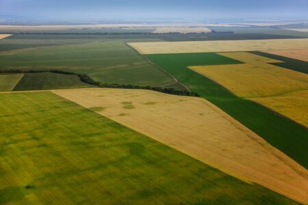 aerial view above the green fields