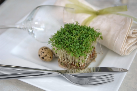 vegetarian breakfast  sprouts and quail eggs