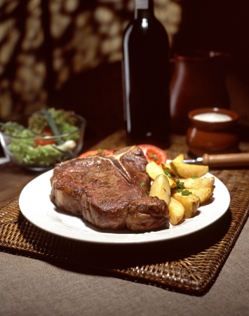 tasty steak with bottle of wine, salad and cream sauceの写真素材