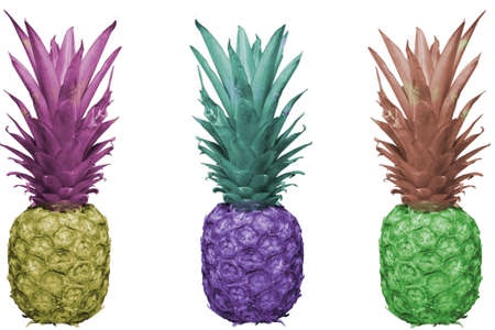 Pineapples Colorfulの写真素材