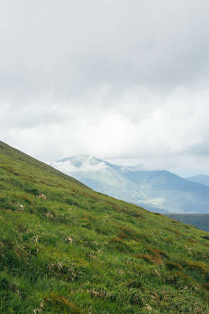 Green growth hill with mountains on background in Carpathians mountains, Ukraineの写真素材