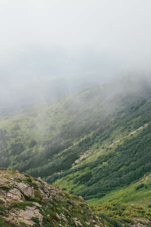 Green hill in Carpathian mountains with deep grey fog on backgroundの写真素材