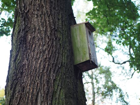 Birdhouse, wooden bird feeder on the treeの写真素材