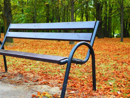A brown wooden bench in the park. Romantic scenery in autumn.の写真素材