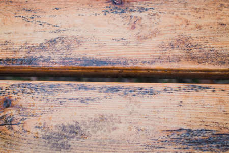 Background of wooden boards with a bough