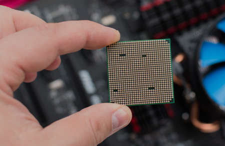 The processor in the persons handの写真素材