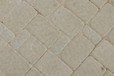 Texture of tiles on the ground with visible seams.の写真素材