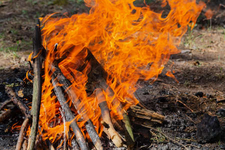 The fire burns in the forest on a bright day