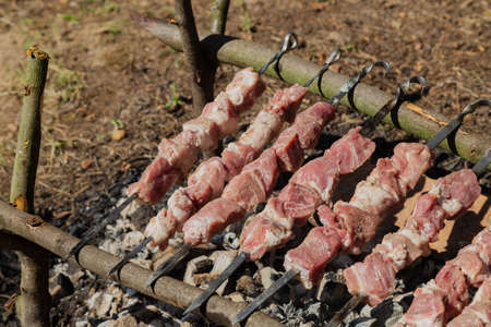Shish kebab roast on charcoal. Shish kebab on skewers in the forest.の写真素材