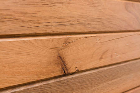 Wooden background and texture with different breeds