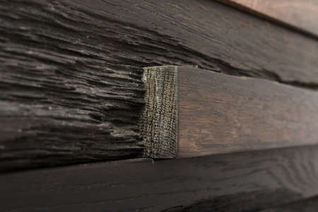 Wooden background and texture with different breeds