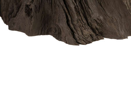 A product made from the roots of an old oak tree on a white background. Isolated Image
