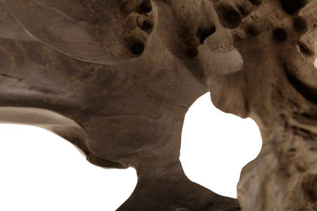Old piece of wood on a white background, wood texture