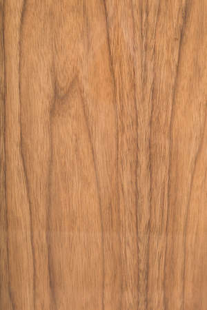 Wooden panel of natural wood, wood textureの写真素材