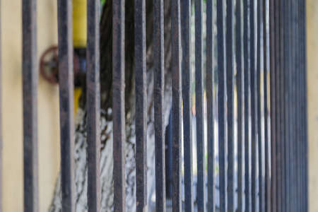 Iron lattice of an old fence covered with cracksの写真素材