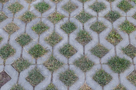 Sidewalk tiles with a new design, an exclusive productの写真素材