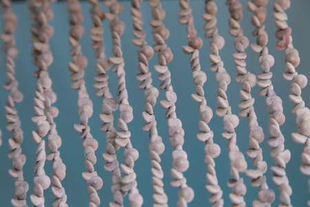 Beautiful shell curtain is hanging by rope for reduce the light and decorate at the door and window.