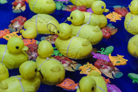 Yellow toy rubber duck family floats in the water