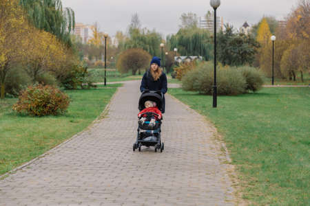 A woman walks in the park with a stroller and a small child.の写真素材