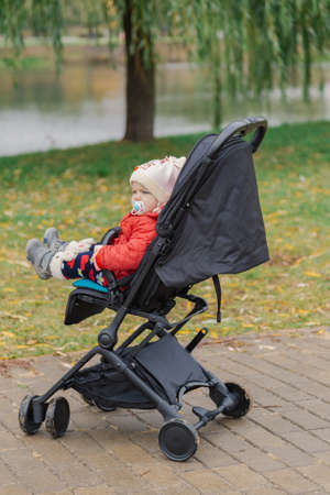 The little baby is sitting in the pram.の写真素材