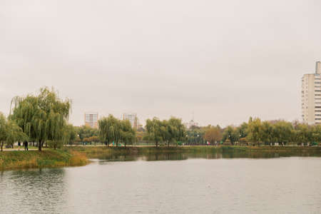 Grassy shore of the lake with residential buildings in the distance, on a cloudy day, autumn weather.の写真素材