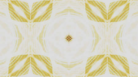 Abstract kaleidoscope background. Beautiful multicolor kaleidoscope texture. Unique and inimitable...