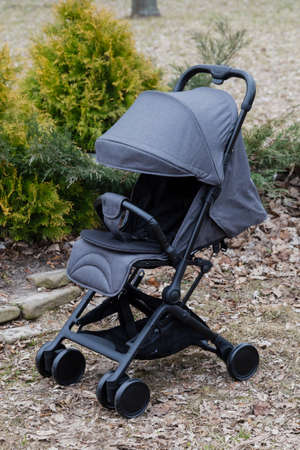 Beautiful baby carriage in the park. New design.の写真素材