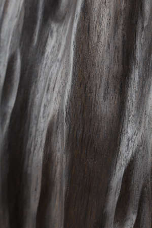 Beautiful texture of old carved stained oak.