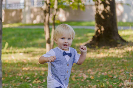 Portrait of a happy little boy on a green lawn in a park.の写真素材