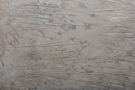 Beautiful modern texture on wallpaper, background for designの写真素材