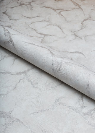 Large roll of wallpaper for the wall with a beautiful textureの写真素材
