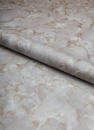 Large roll of wallpaper for the wall with a beautiful textureの写真素材