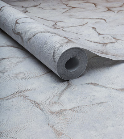 Large roll of wallpaper for the wall with a beautiful textureの写真素材