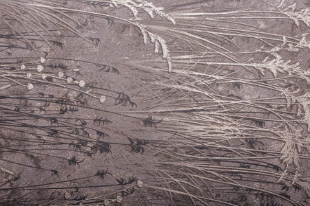 Beautiful modern texture on wallpaper, background for designの写真素材