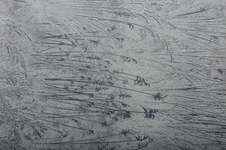 Beautiful modern texture on wallpaper, background for designの写真素材
