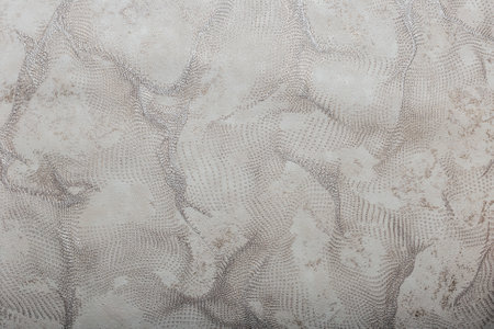 Beautiful modern texture on wallpaper, background for designの写真素材