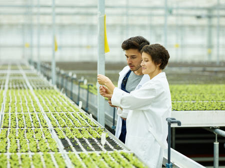 Man and woman in white gowns talking and exploring green sprouts while working in modern industrial agronomy complexの写真素材