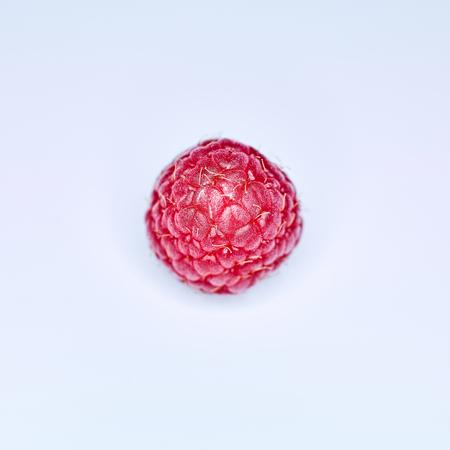 Top view of single fresh raspberry on alice blue background, squared patternの写真素材