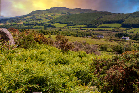 A view to the picturesque hill in the footstep of Comeragh Mountains in Ireland.