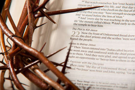 Crown of Thorns on Bible (Luke 22)