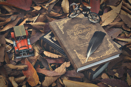 Autumn fruits in which various colors coexistの写真素材