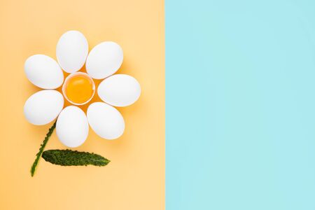 White chicken eggs arranged into a camomile flower shape with an eggshell half with yolk in the middle and cucumber peel as the stem on a combined background.の写真素材