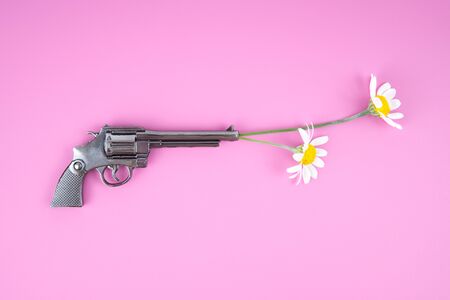 Chamomile flowers placed into the barrel of a revolver on a pink background. Flower power concept.の写真素材