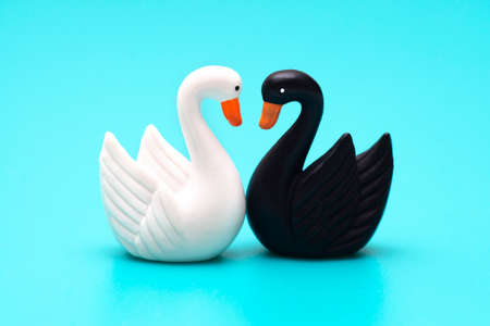 Two toy swans black and white on a blue backgroundの写真素材