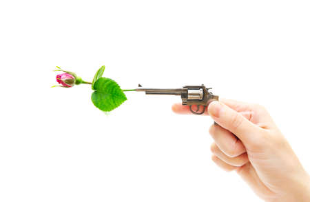 Female hand holding a miniature revolver with a red rose placed into the barrel against a white...