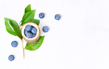 Organic composition: blueberries, wooden bowl and a bush twig on a white background, top view, copy space.の写真素材